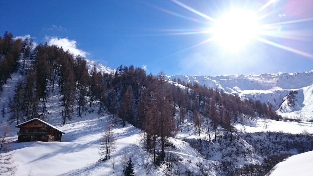 Фото Ferienwohnungen am Berg - Almhütte Alfen