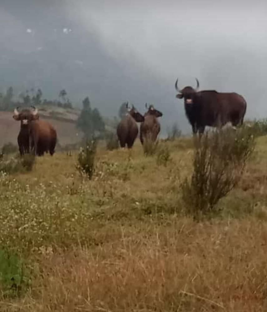 Фото Vridhavan Mist City