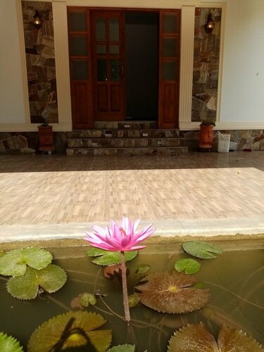 Гостиница The Crown Hotel Dambulla