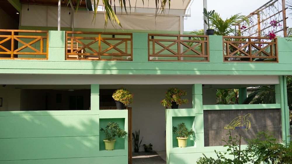 Фото Turtle Maldives