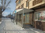 Library (Borodin Street, 215), library