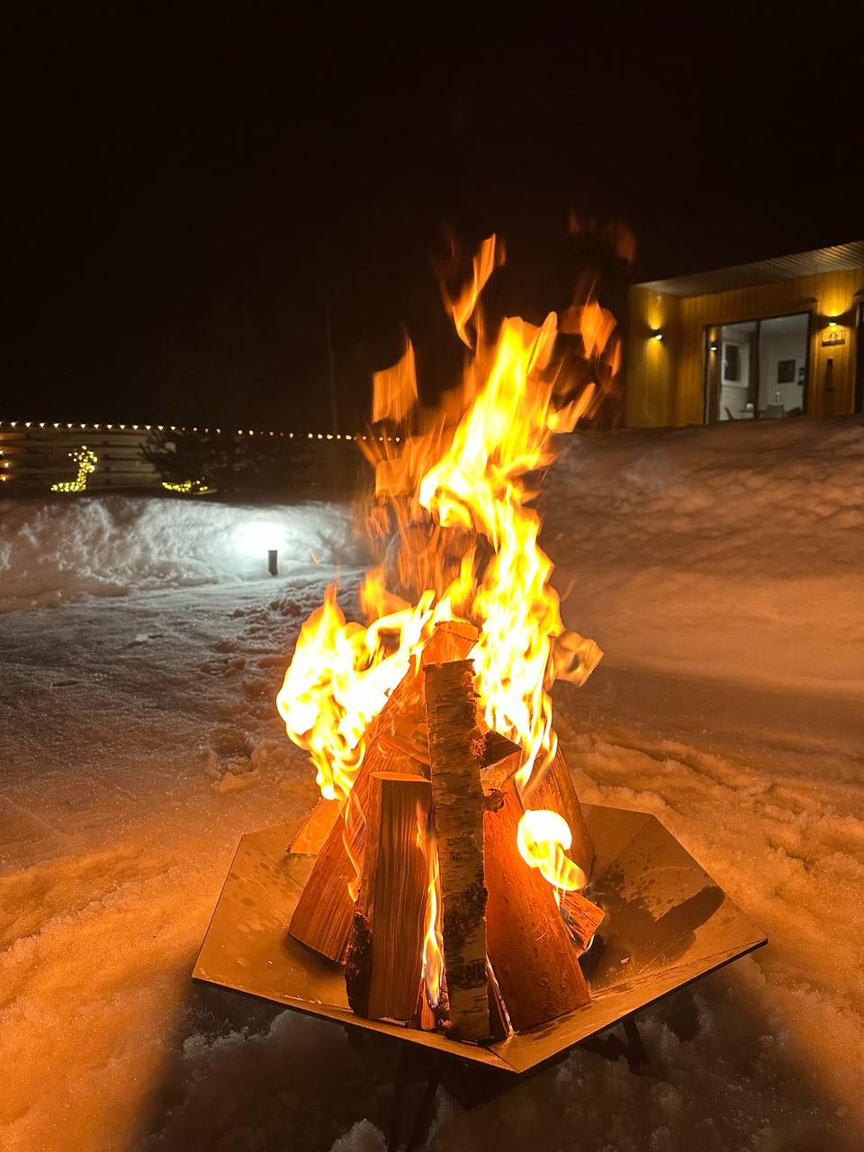 Фото Лес и Волга