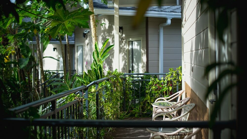 Фото Airai Forest Villa