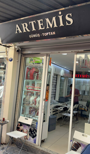 Artemis Gümüş Fotoğraf 1