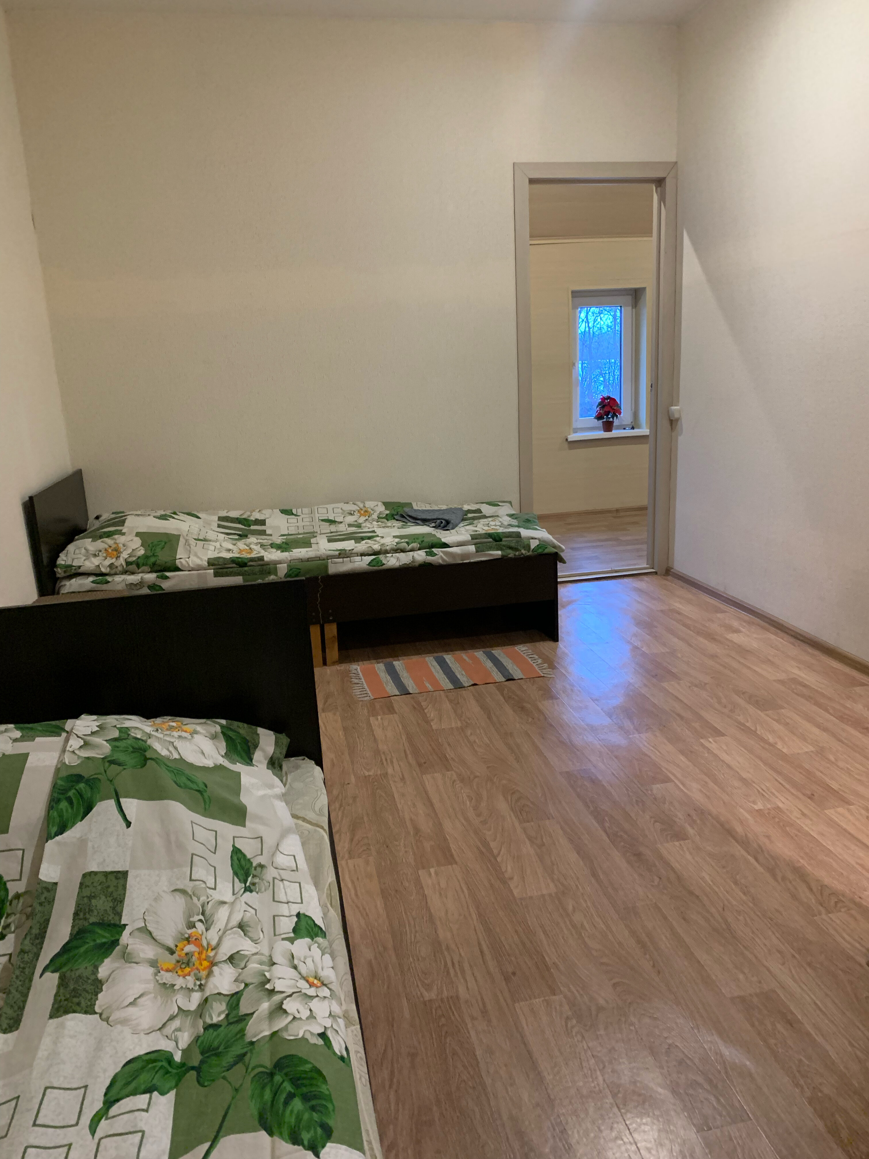 Фото Берёзка