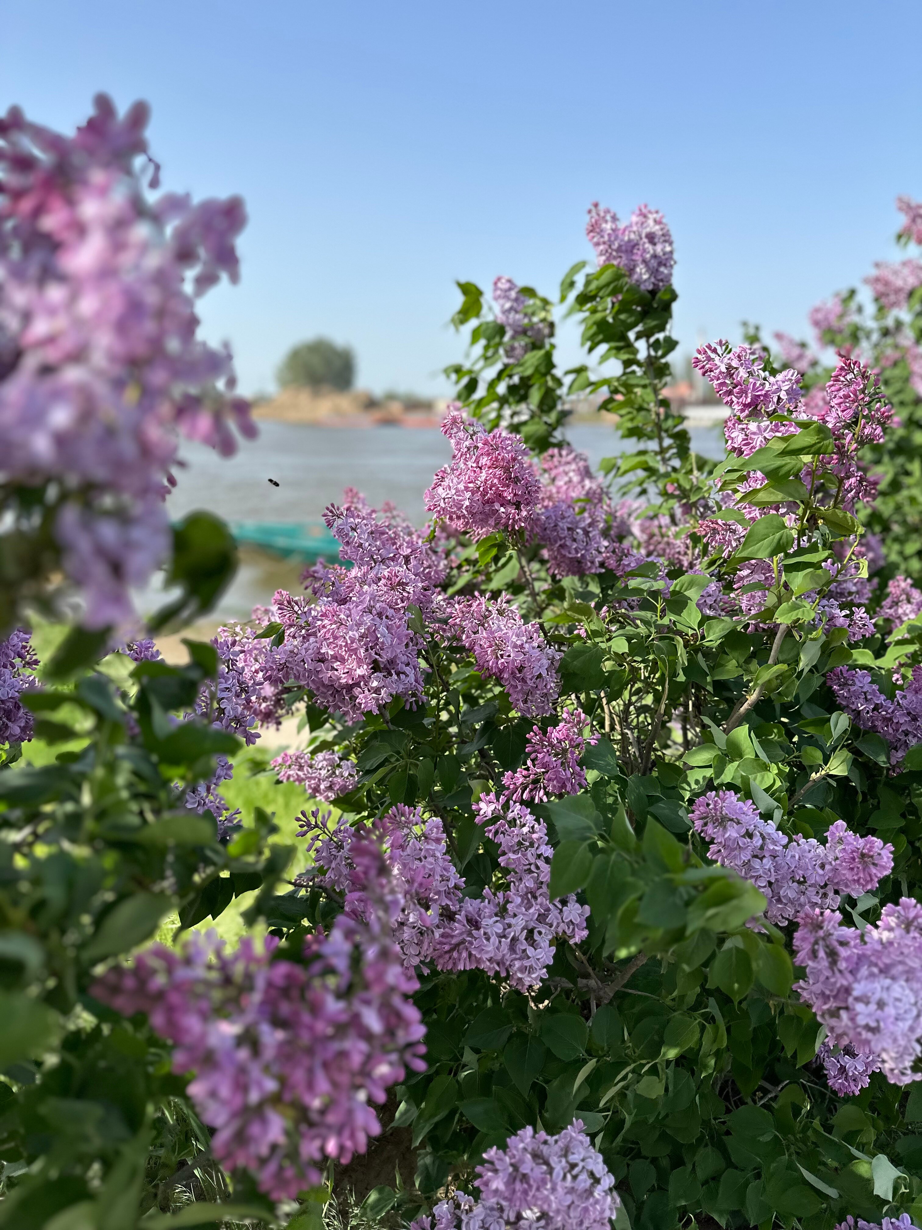 Фото Azimut Парк Отель Волга Астрахань