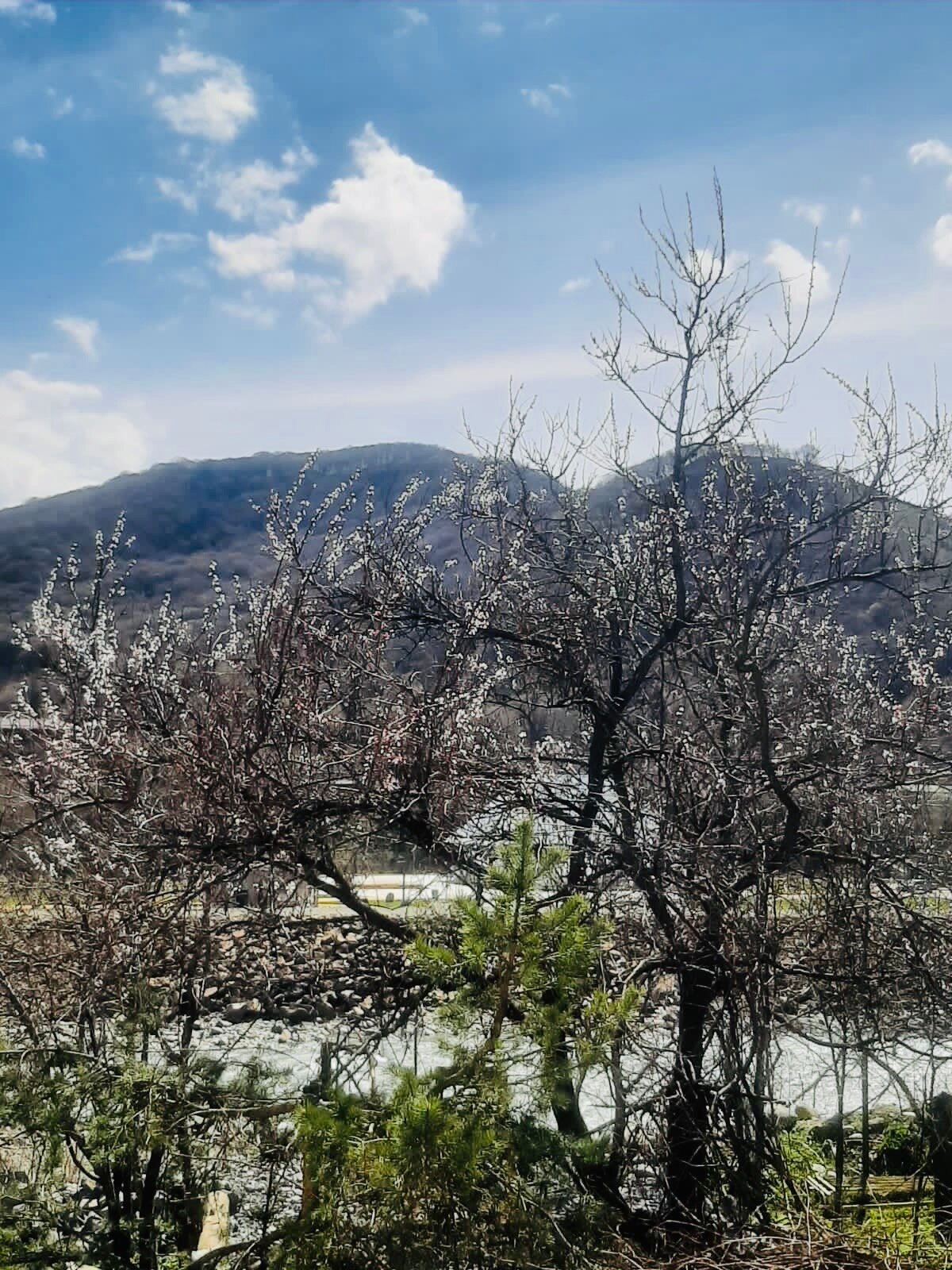 Фото Дом у реки