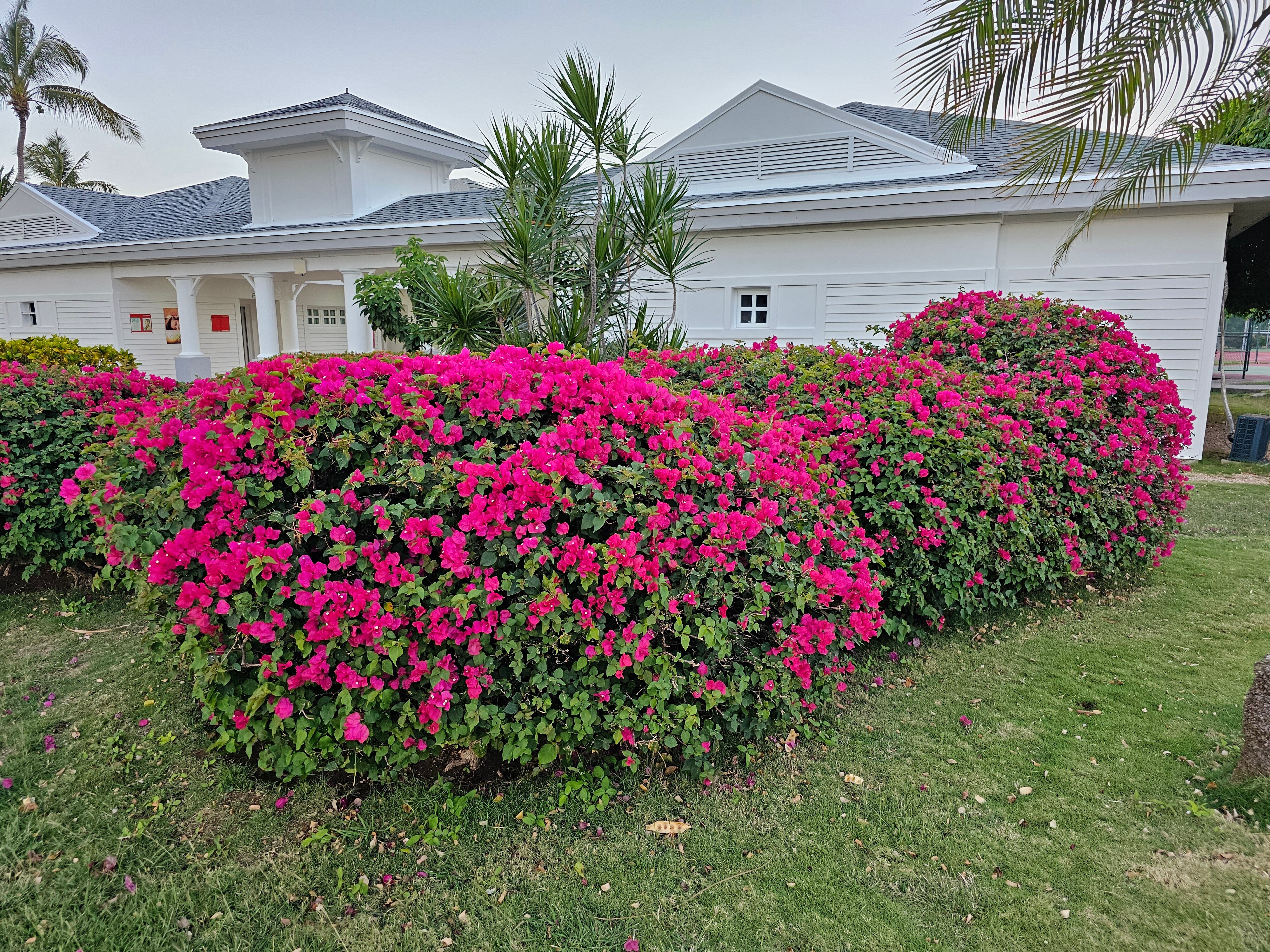 Фото Melia Peninsula Varadero