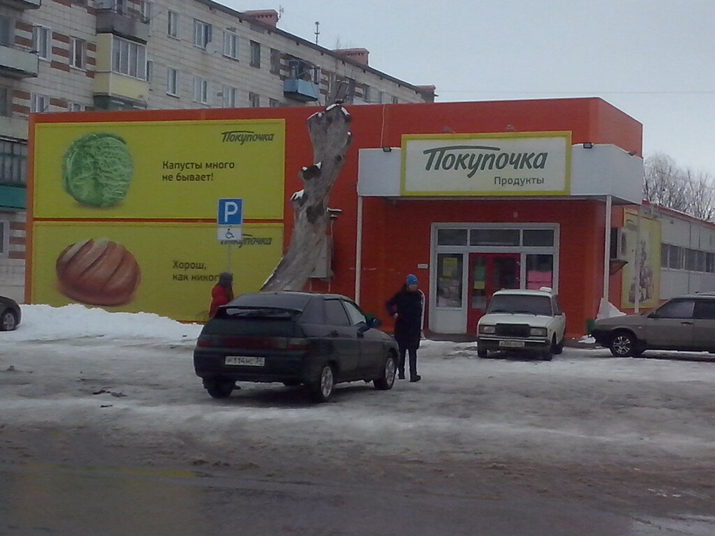 Мох фроловская ул 14 3 фролово фото