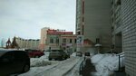 TSZh Kontinent (posyolok Yubileyny, Fedorovskaya ulitsa, 4), hoa, junta directiva de snt