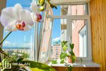 Gealan Grupp (Smolina Street, 81), windows