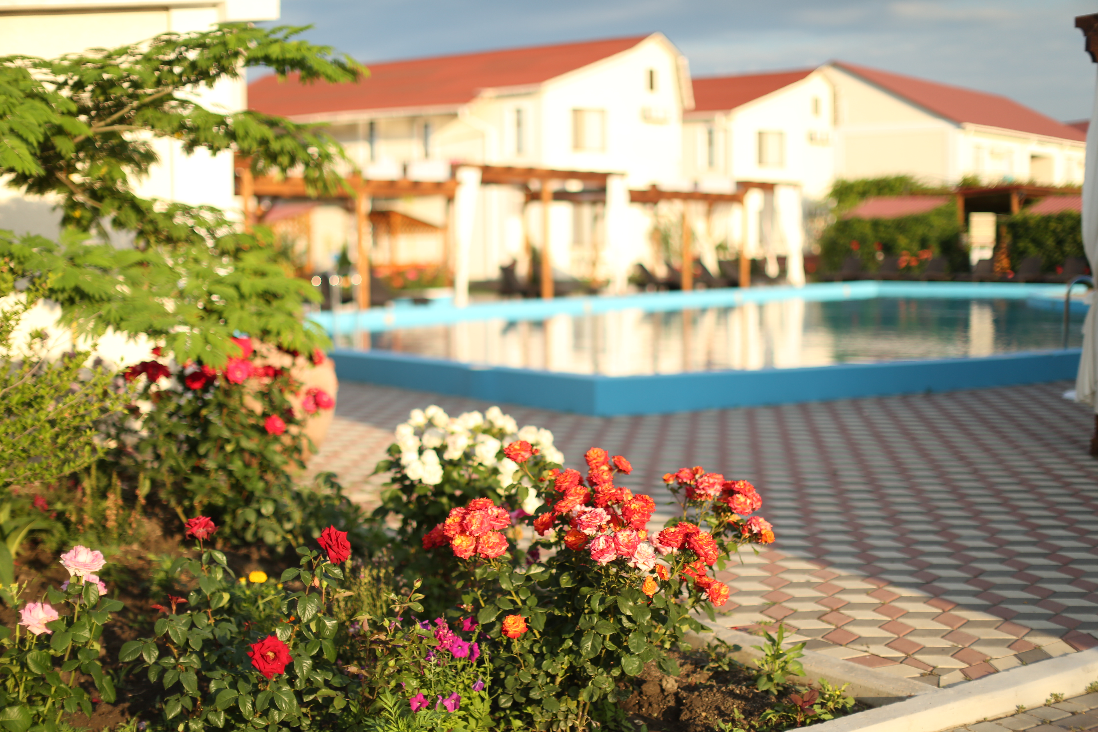 Фото Нарлен