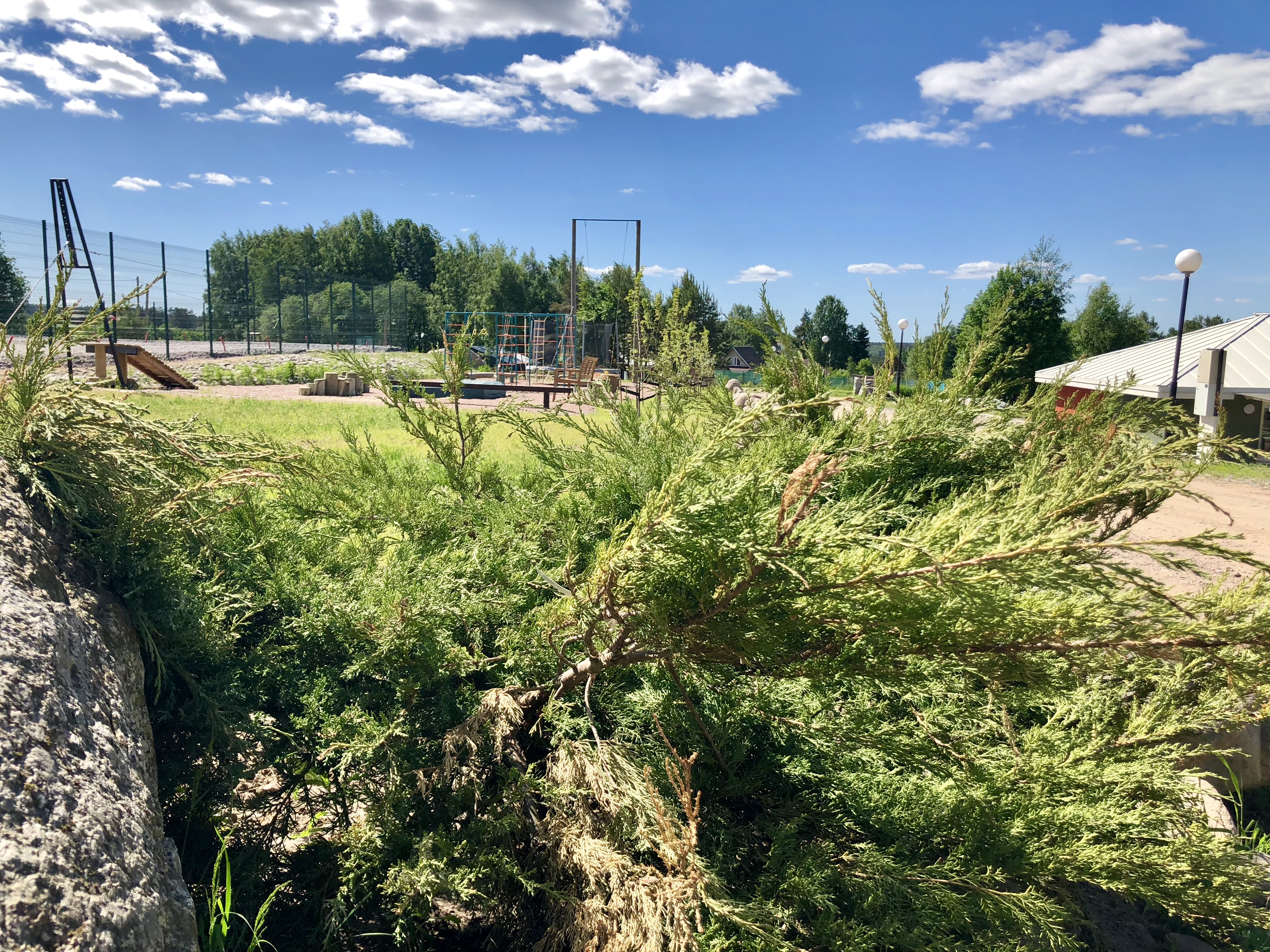 Фото Дачники