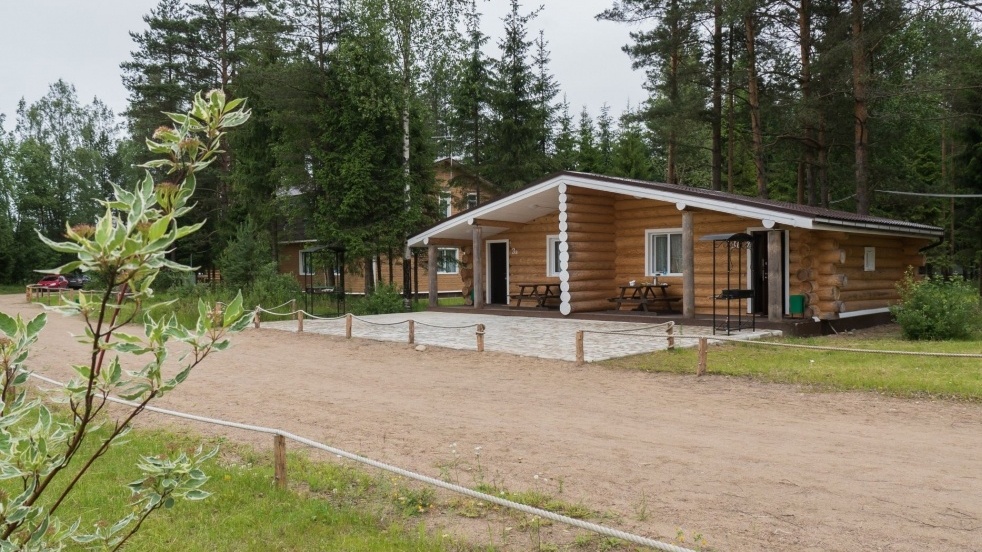 Фото Пикник