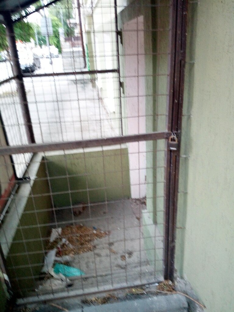 Zoo center Obshchestvennaya regionalnaya organizatsiya Rostovsky klub lyubiteley sobakovodstva, Rostov‑na‑Donu, photo