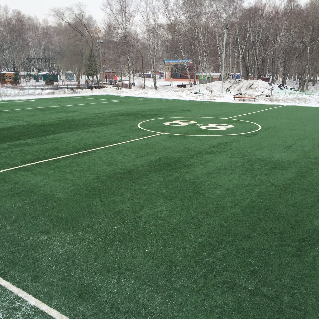 Арена спорт строй паркет