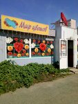Mir tsvetov (Pushkarskaya Street, 57А), flower shop