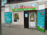 Фазенда (ulitsa Lenina, 23), household goods and chemicals shop