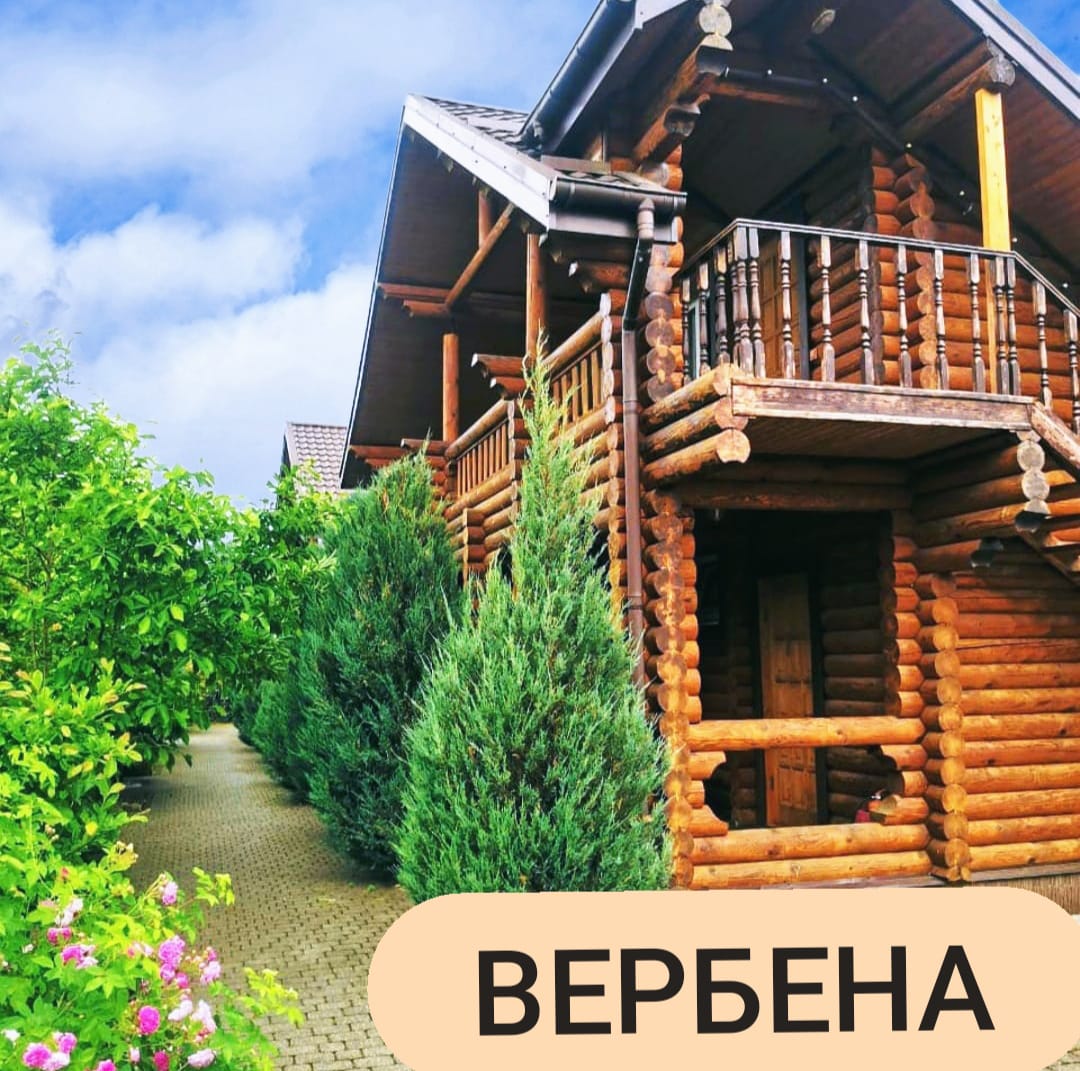 Фото Вербена