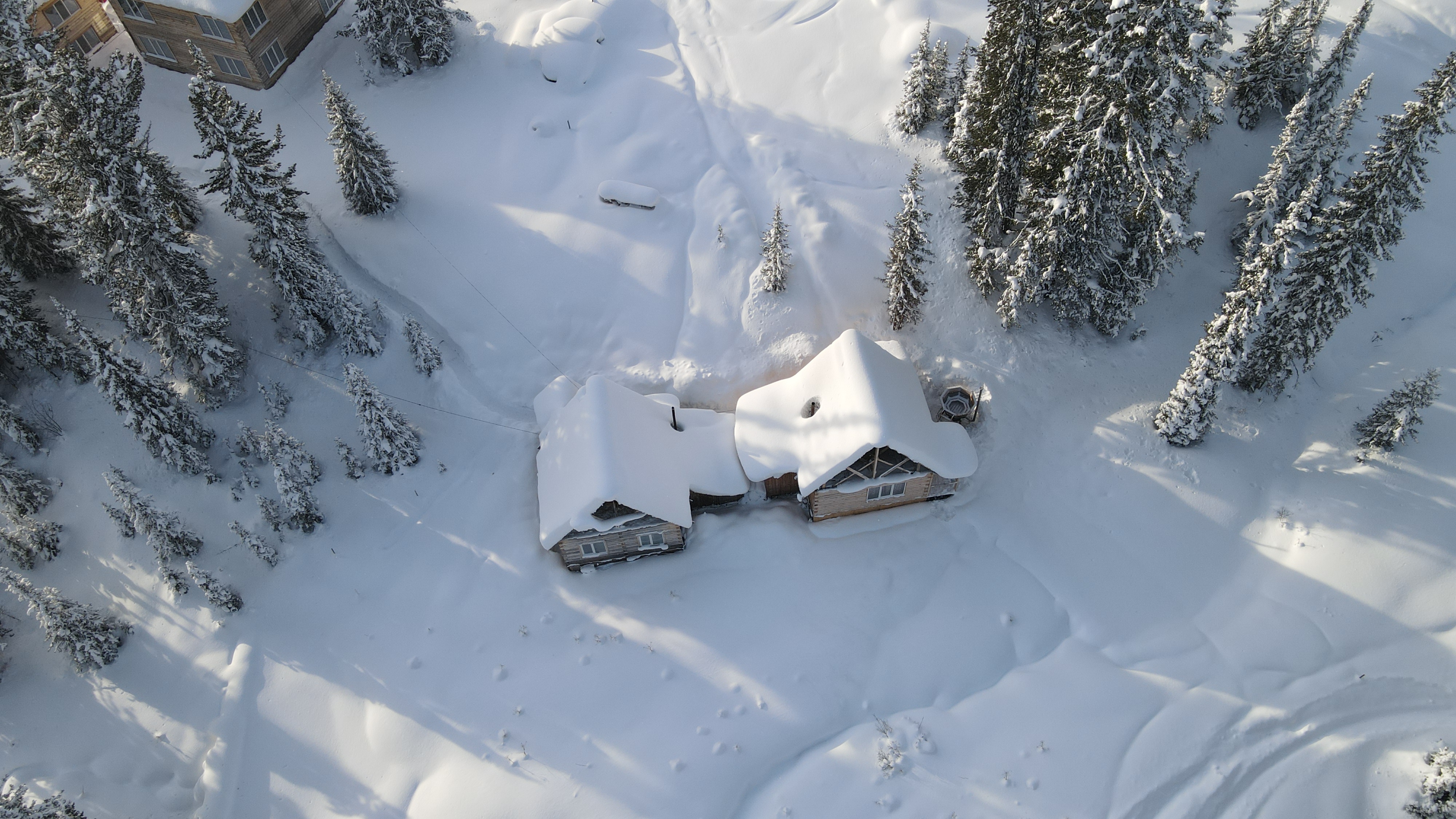 Фото Хозяин тайги Ергаки