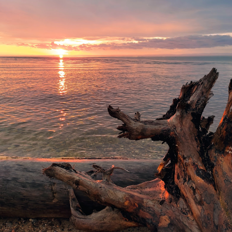 Фото Бурундуки