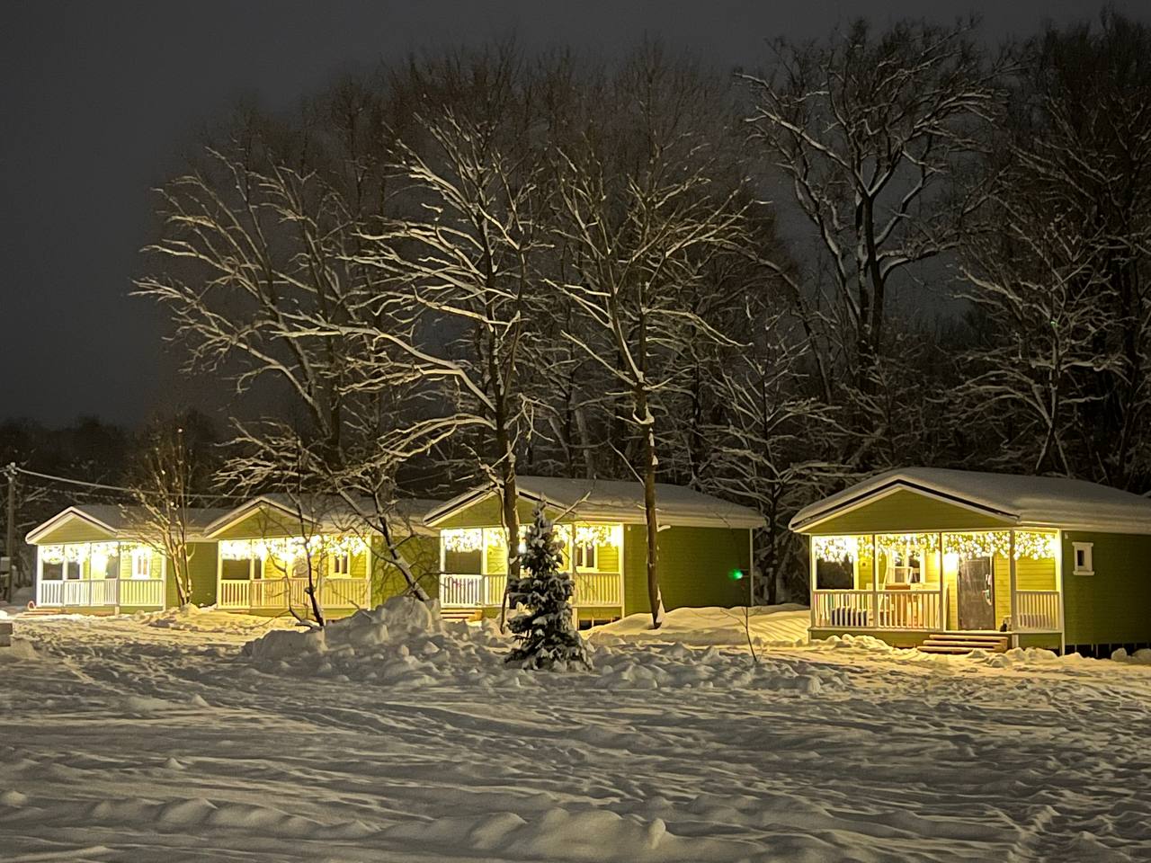 Фото Лес и Река