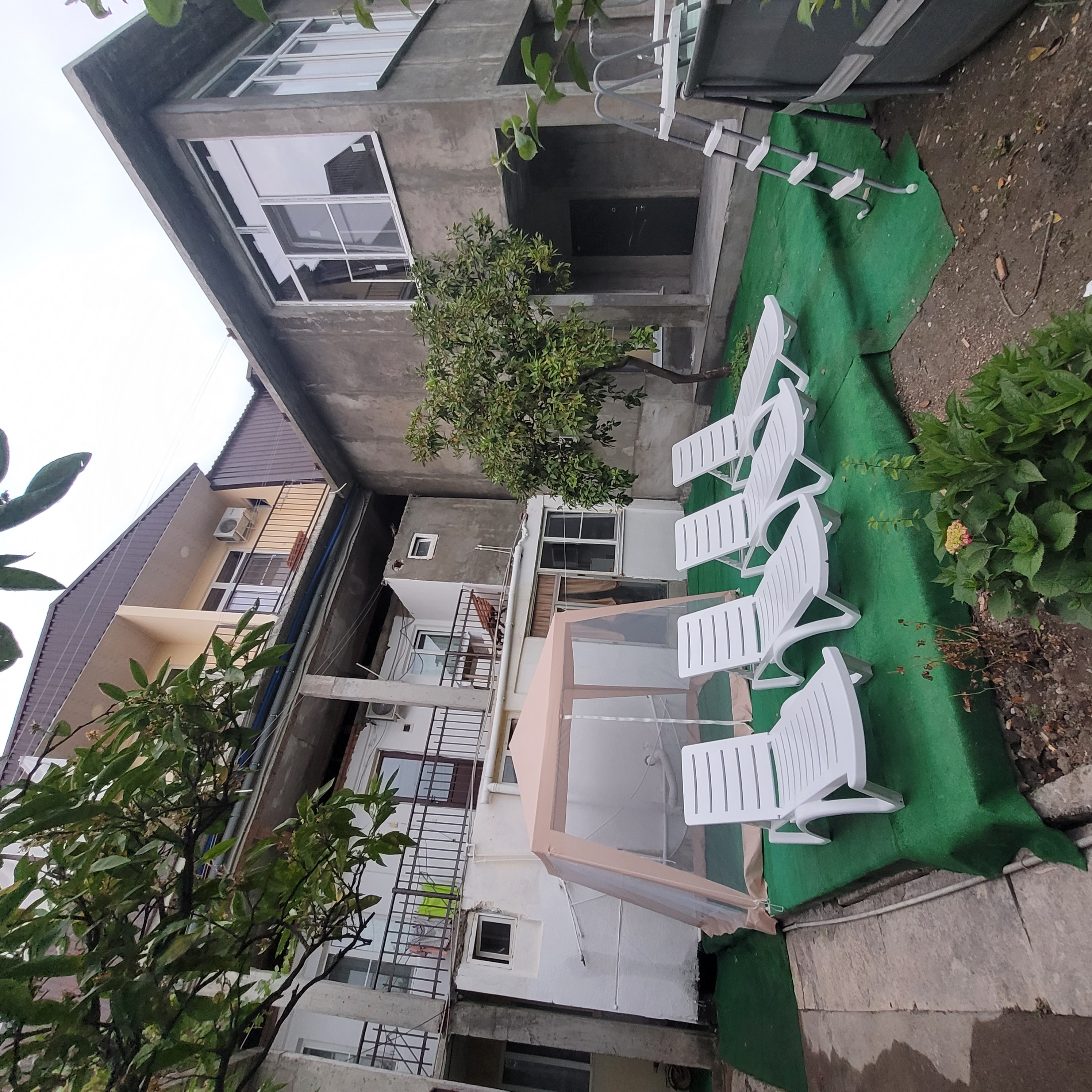 Фото Орхидея