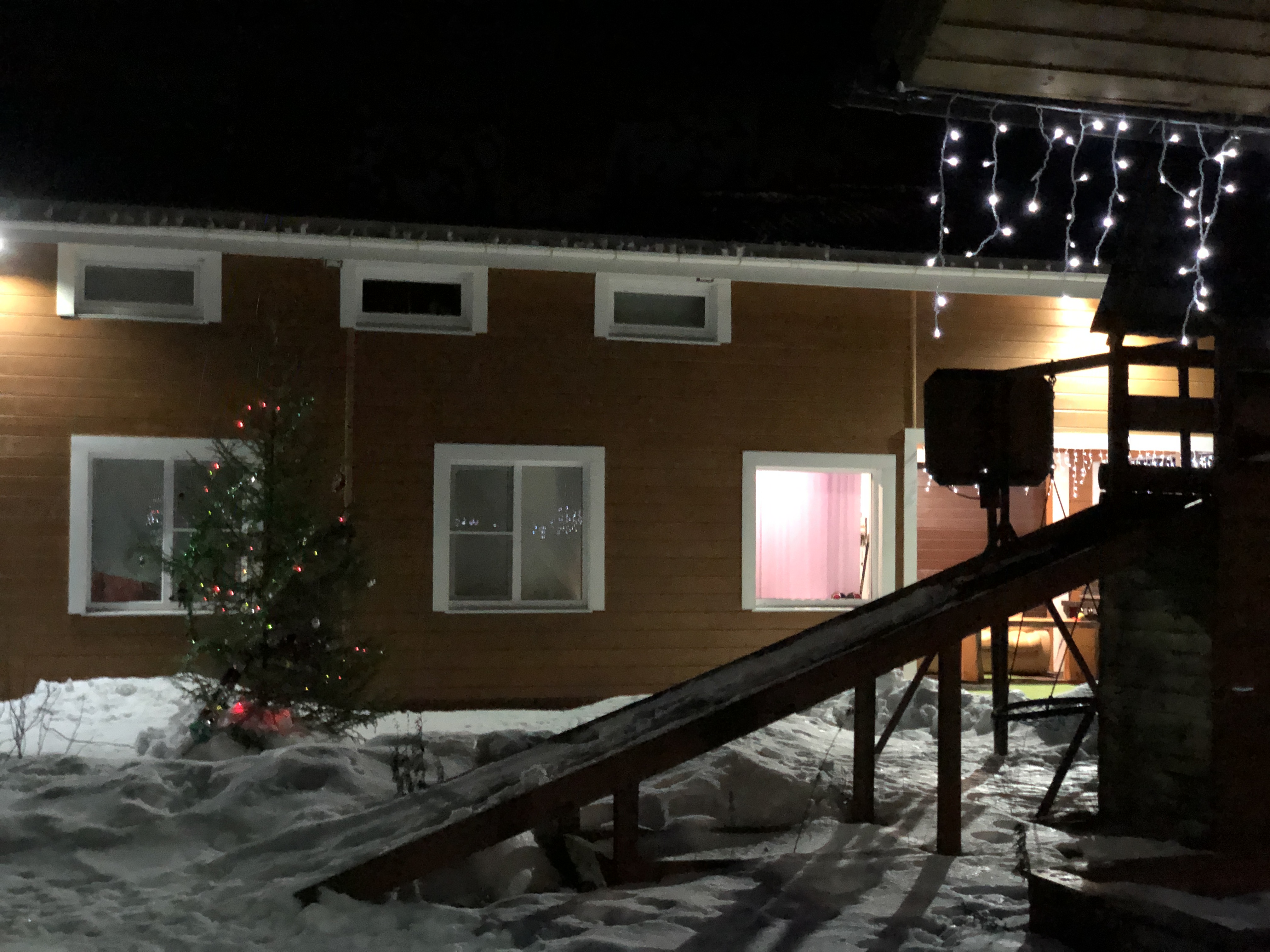 Фото Хитрый Лис