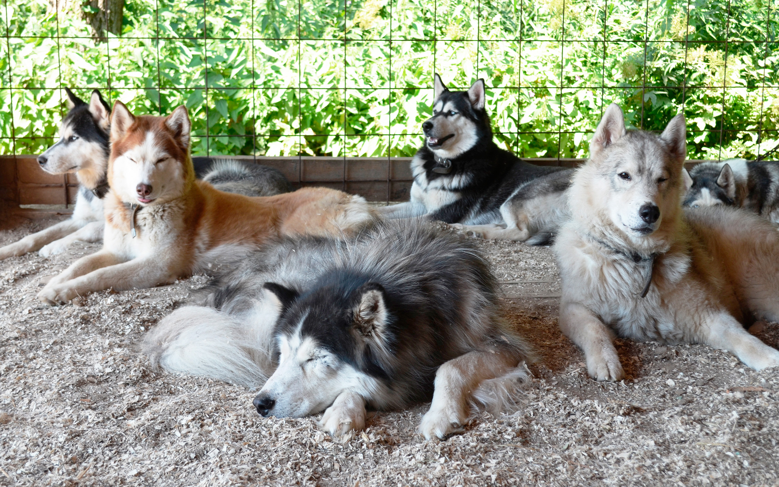 Фото Этноотель Центральная Азия