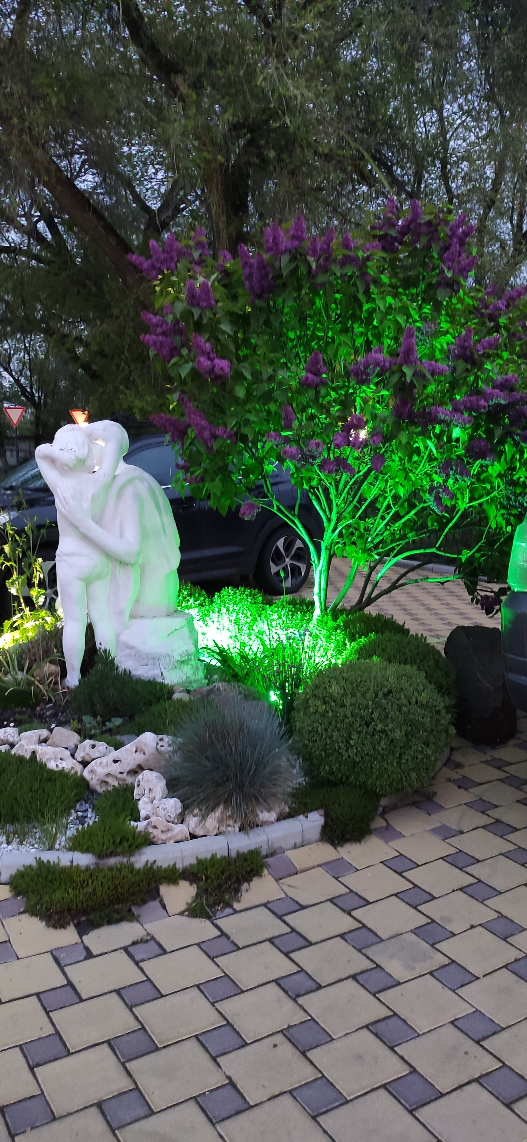 Фото Казачок