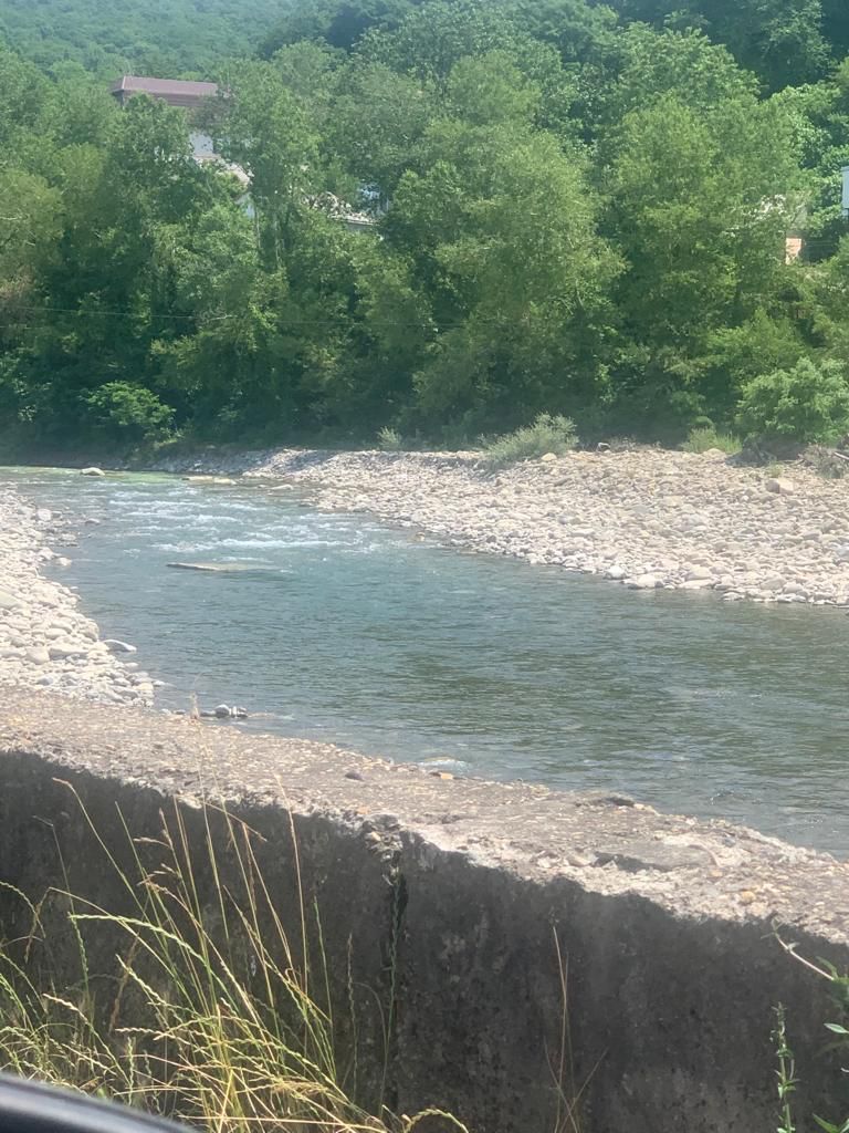 Фото Эстель