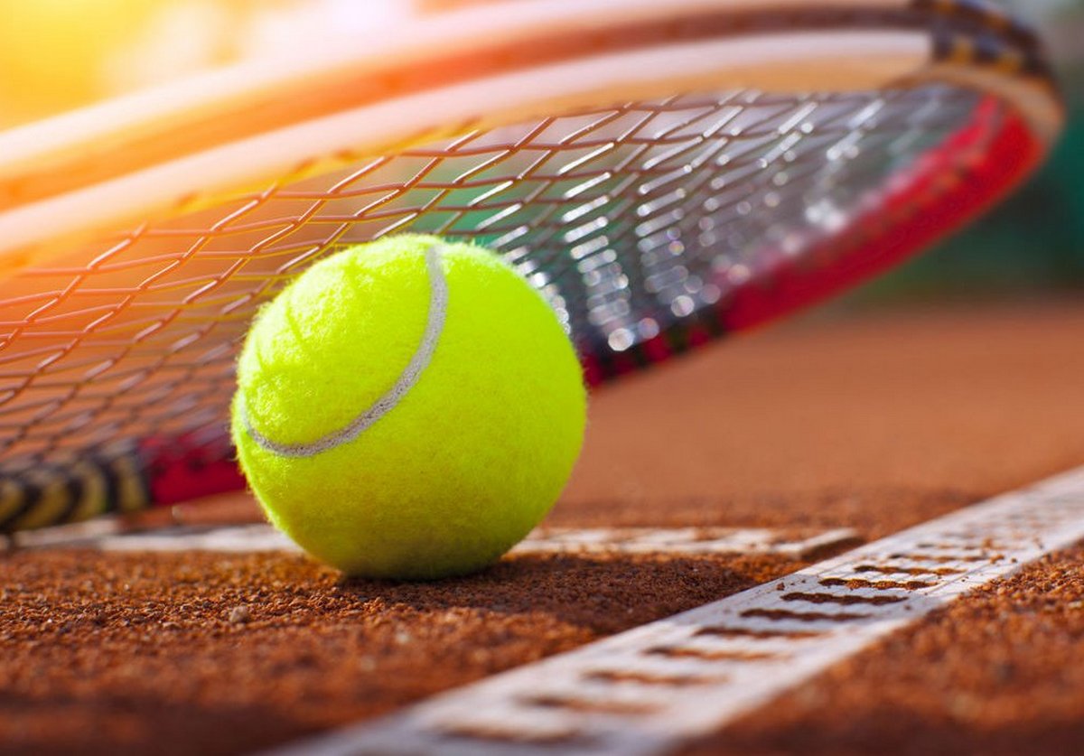 Фото Афалина