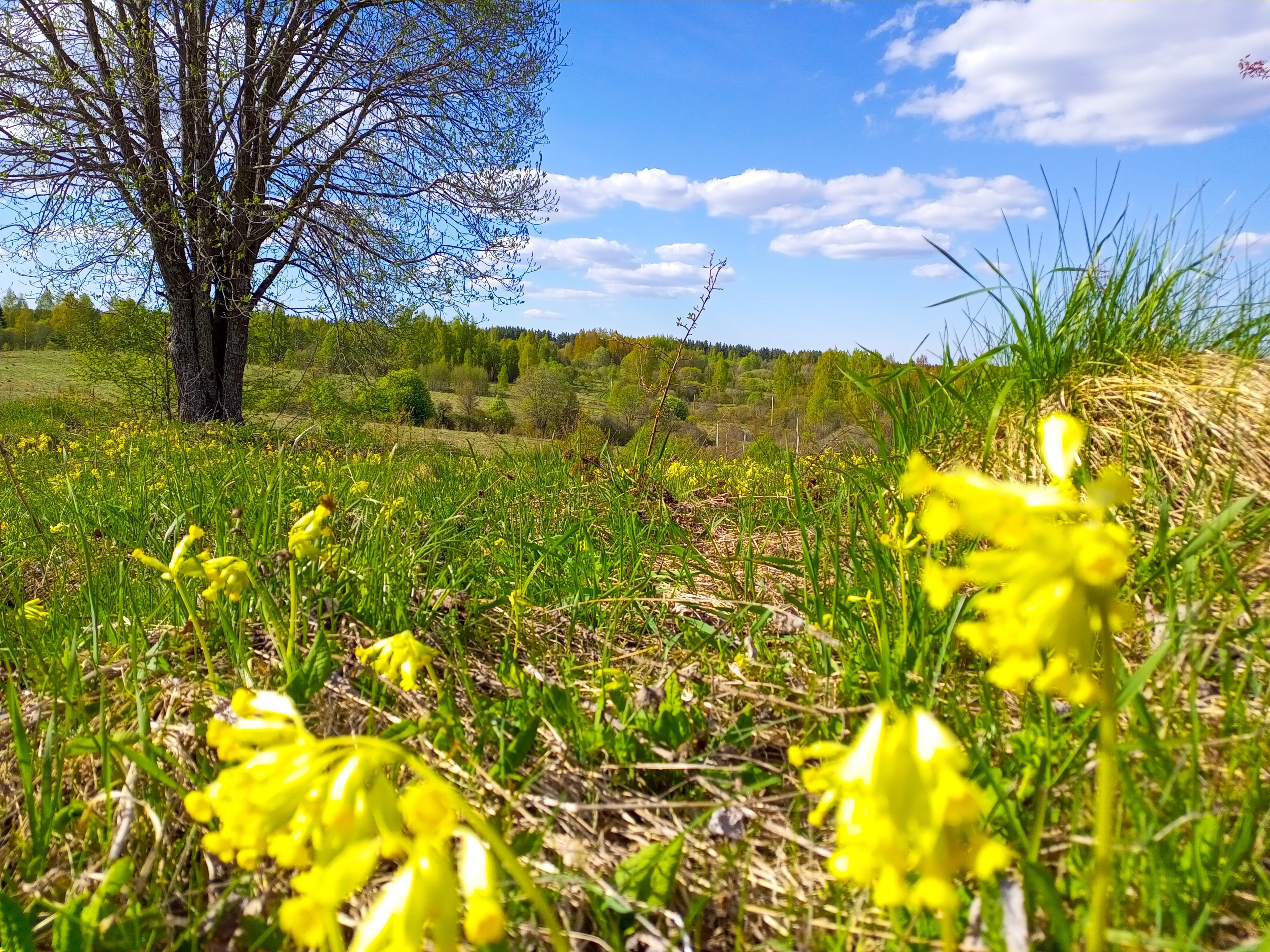 Фото Подчерничье