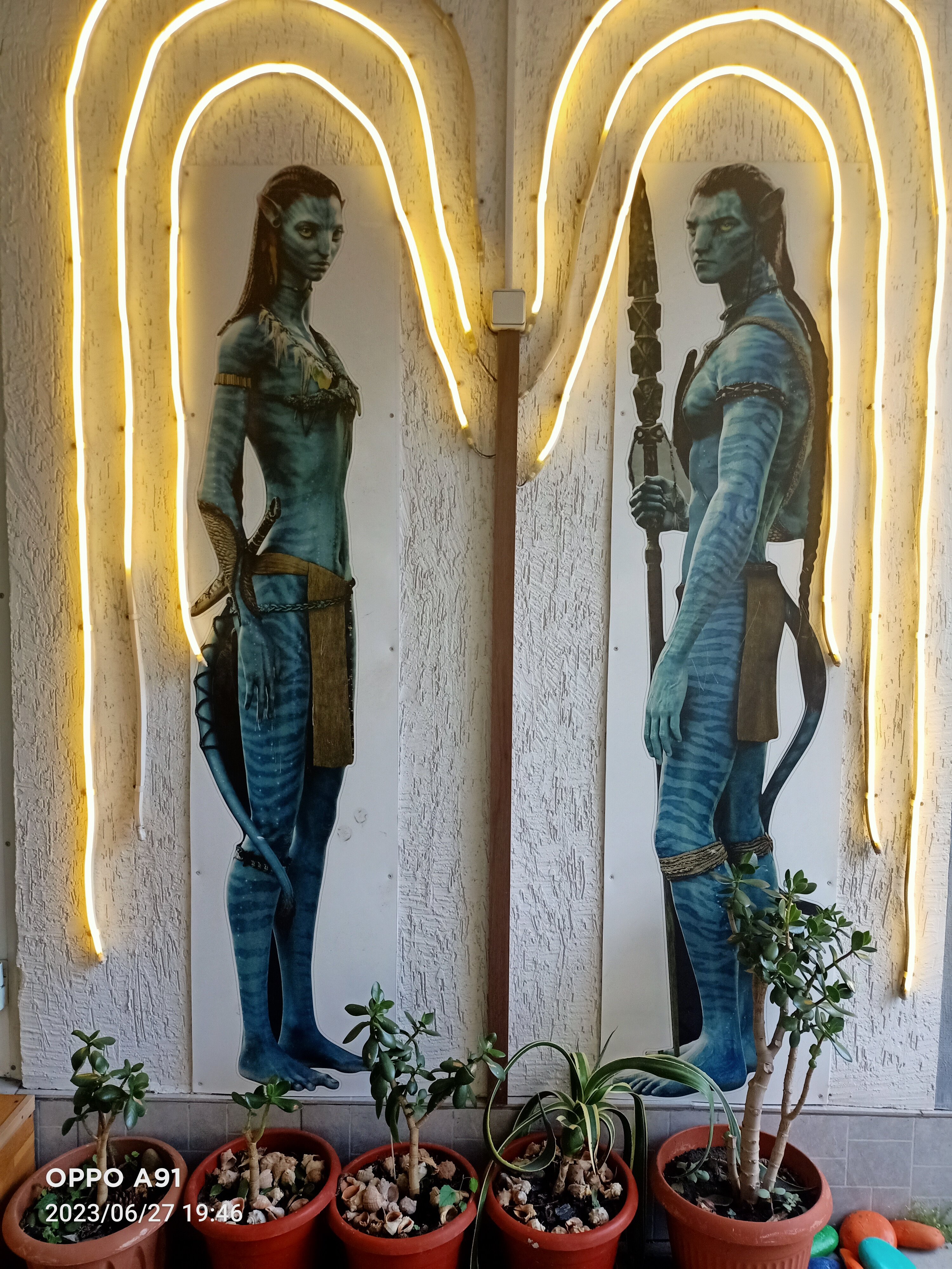 Фото Аватар Гостевой дом