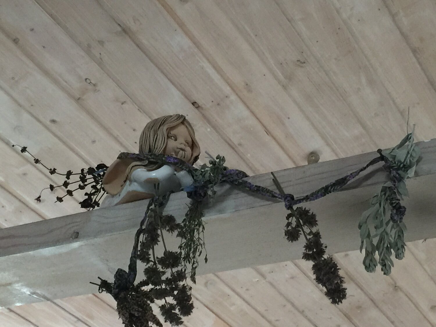 Фото Три Галки