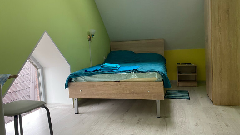 Фото Золотой Клевер