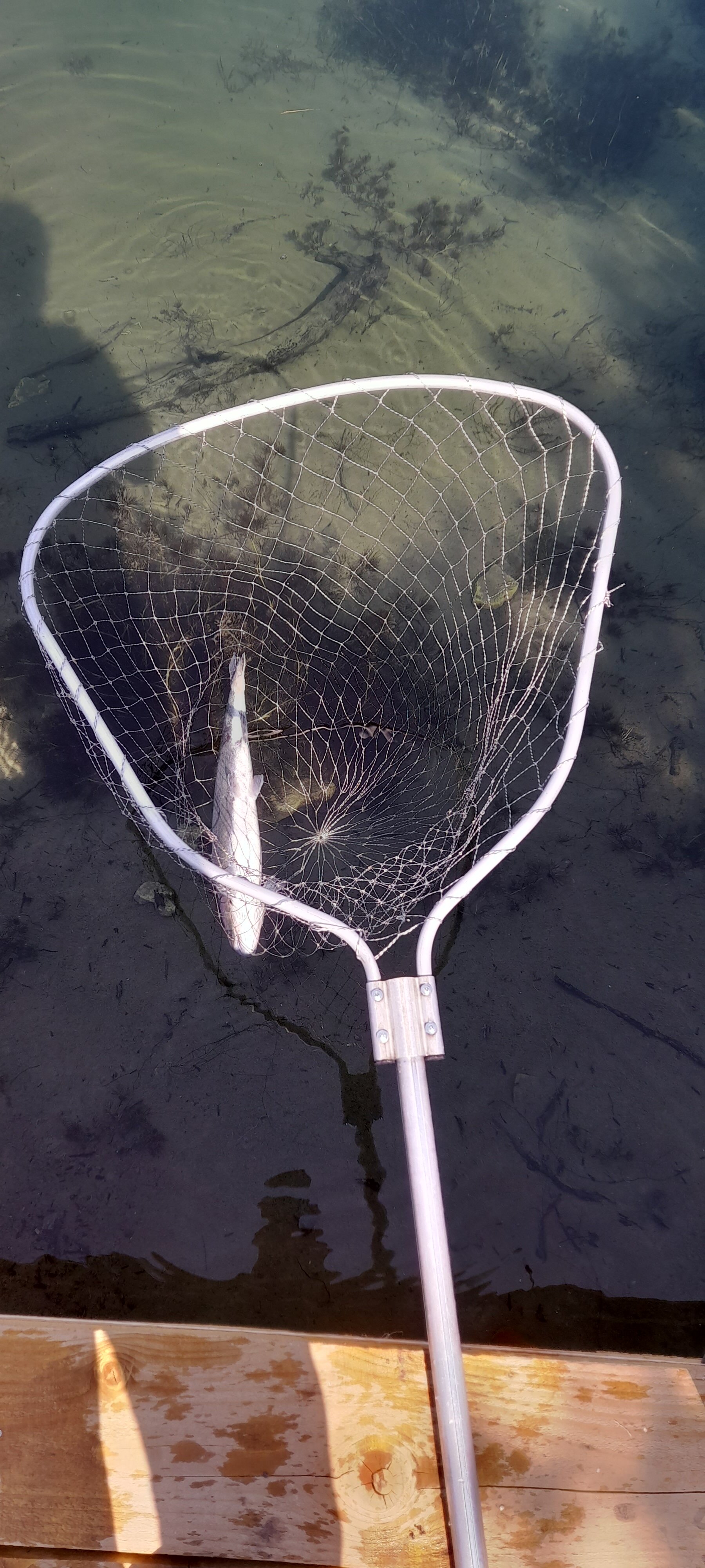 Фото Царская рыбалка