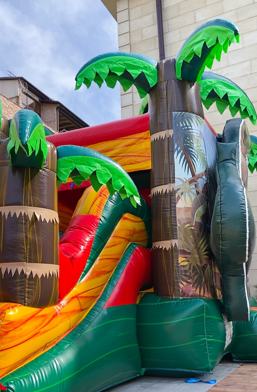 Фото Риффос