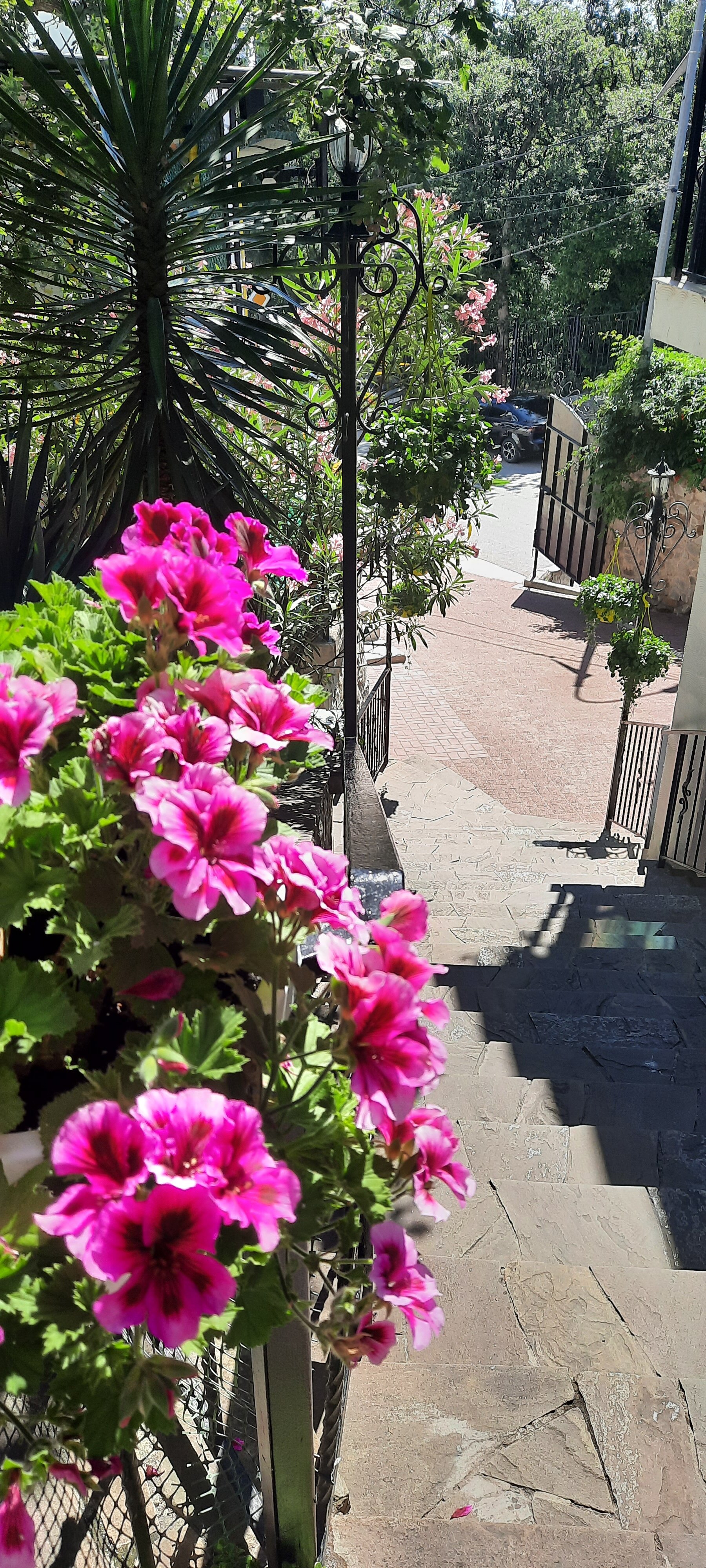 Фото Вилла Виктория