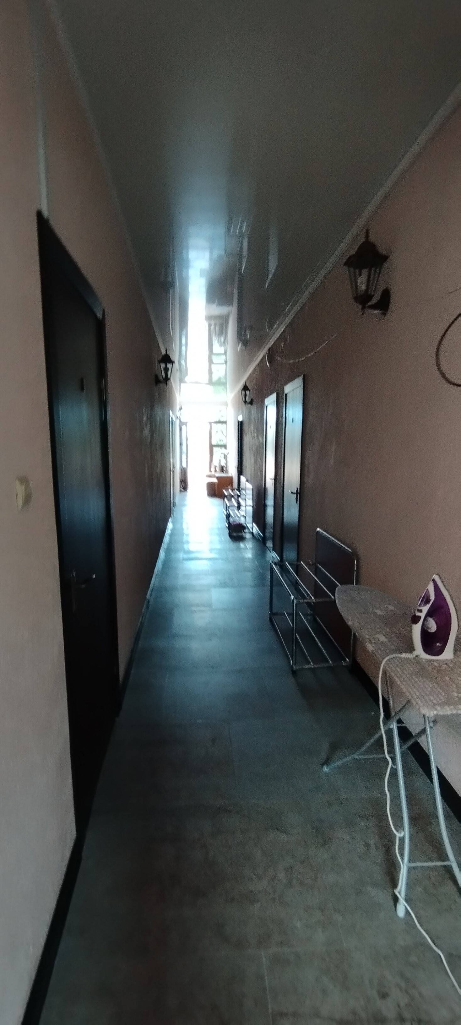 Фото Бугенвиллия