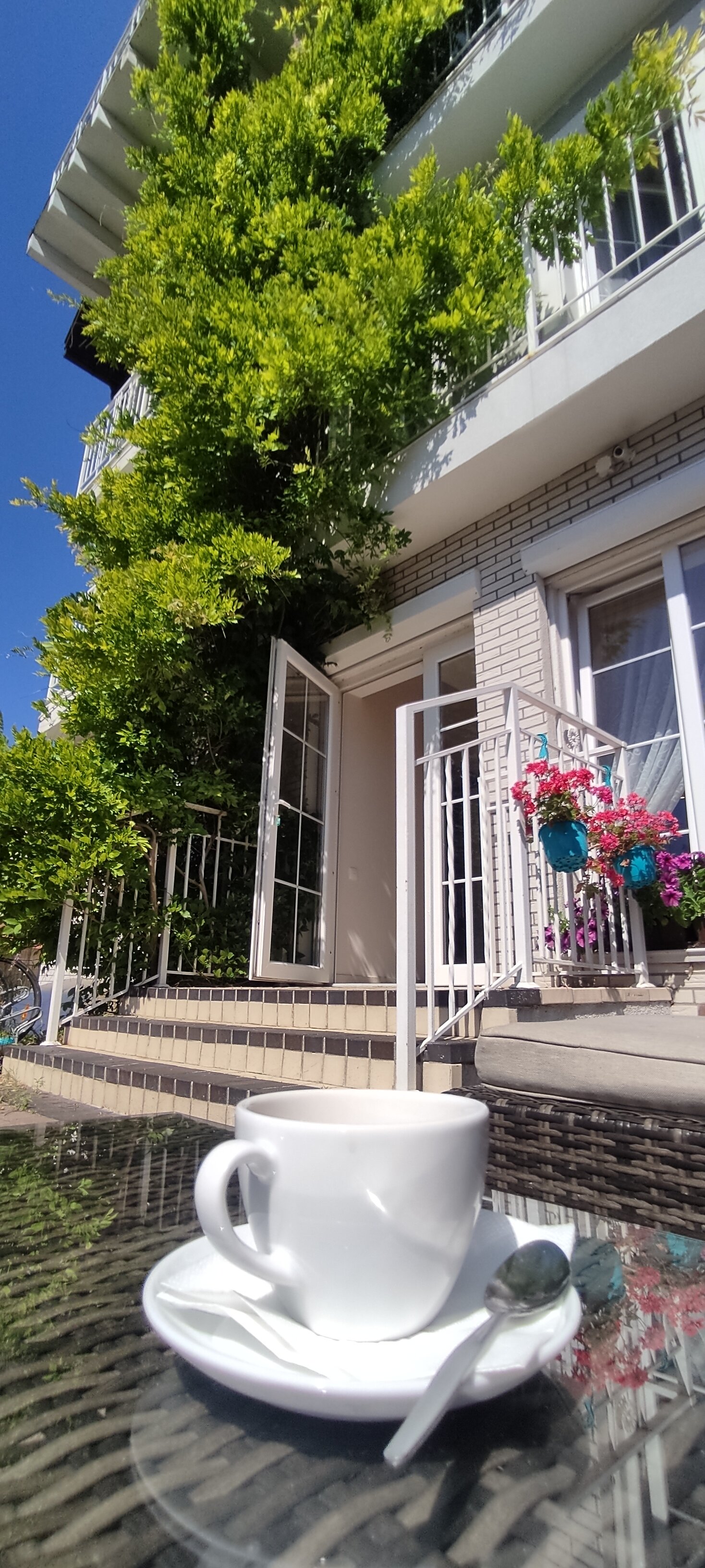 Фото Янтарный сезон