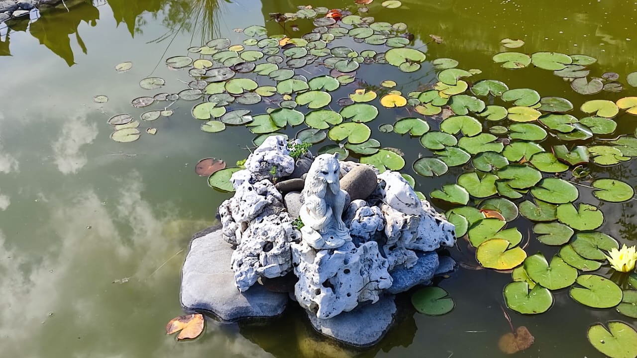 Фото Легенда