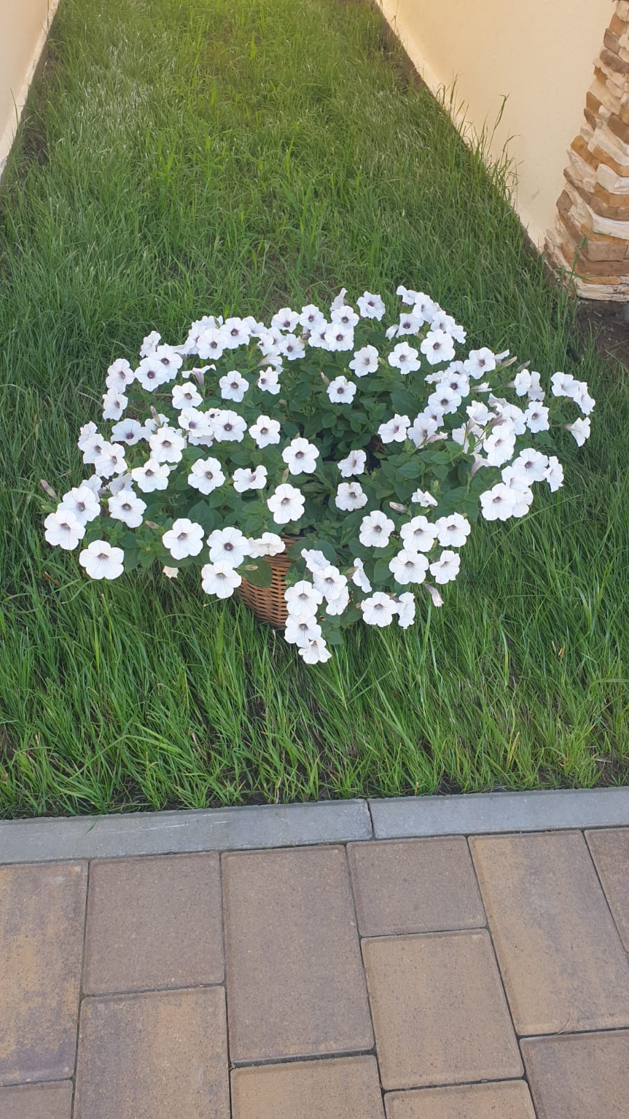 Фото МореРядом