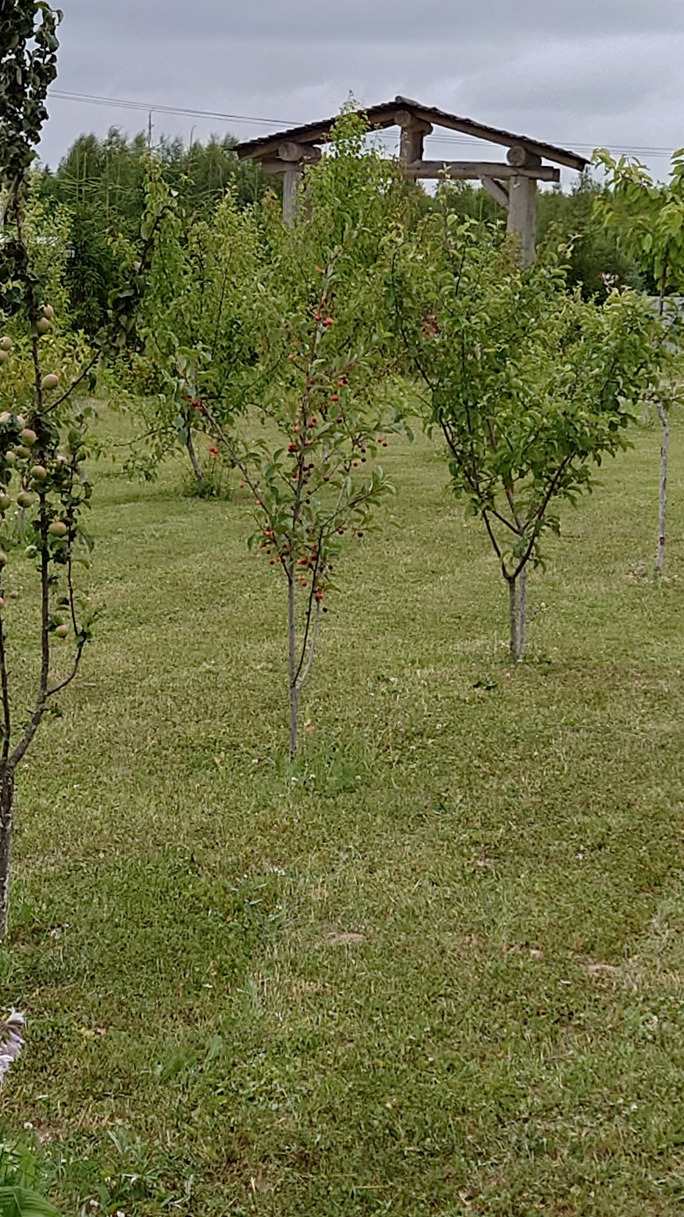 Фото Михайловское угодье