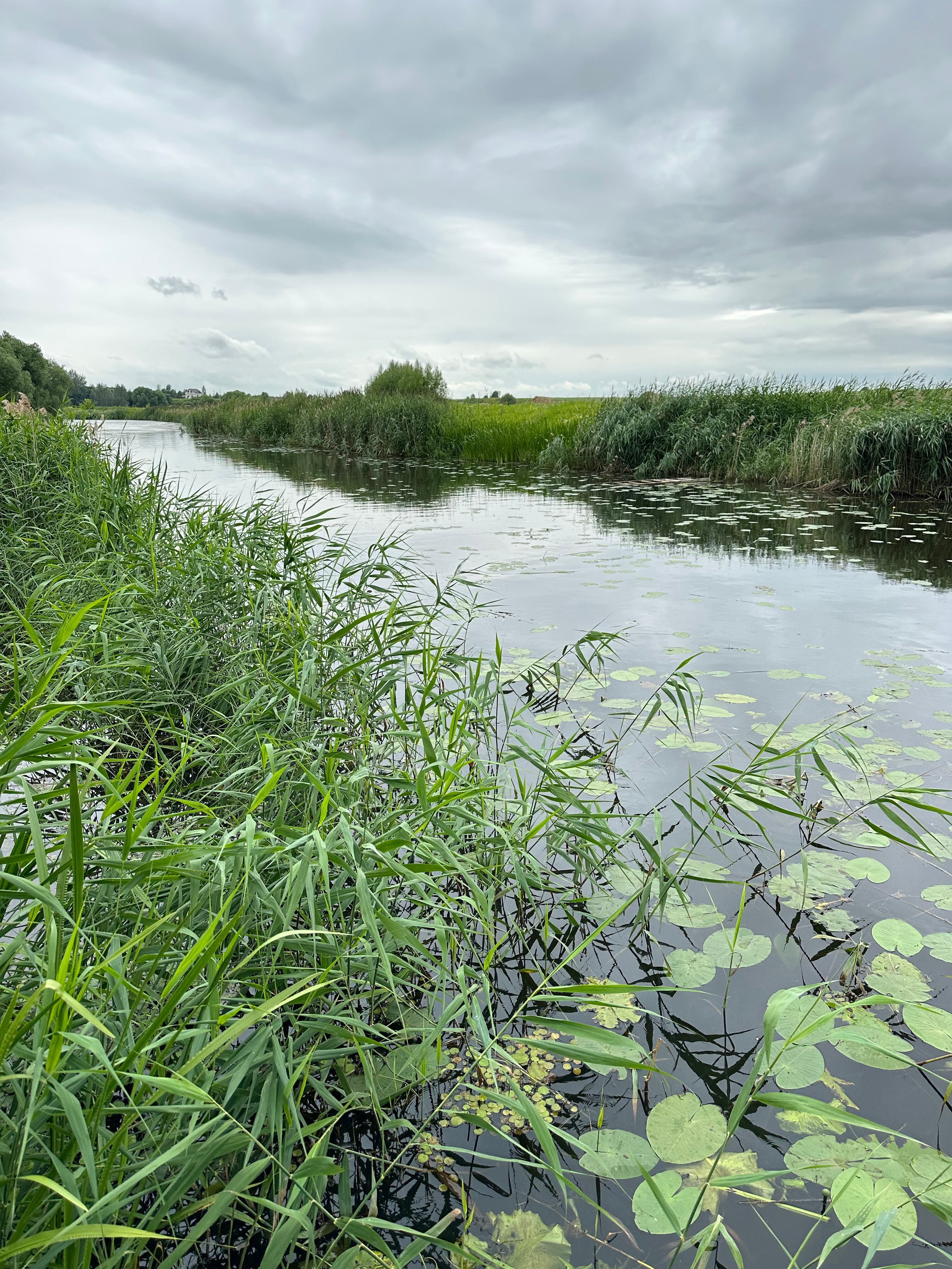 Фото У реки 44