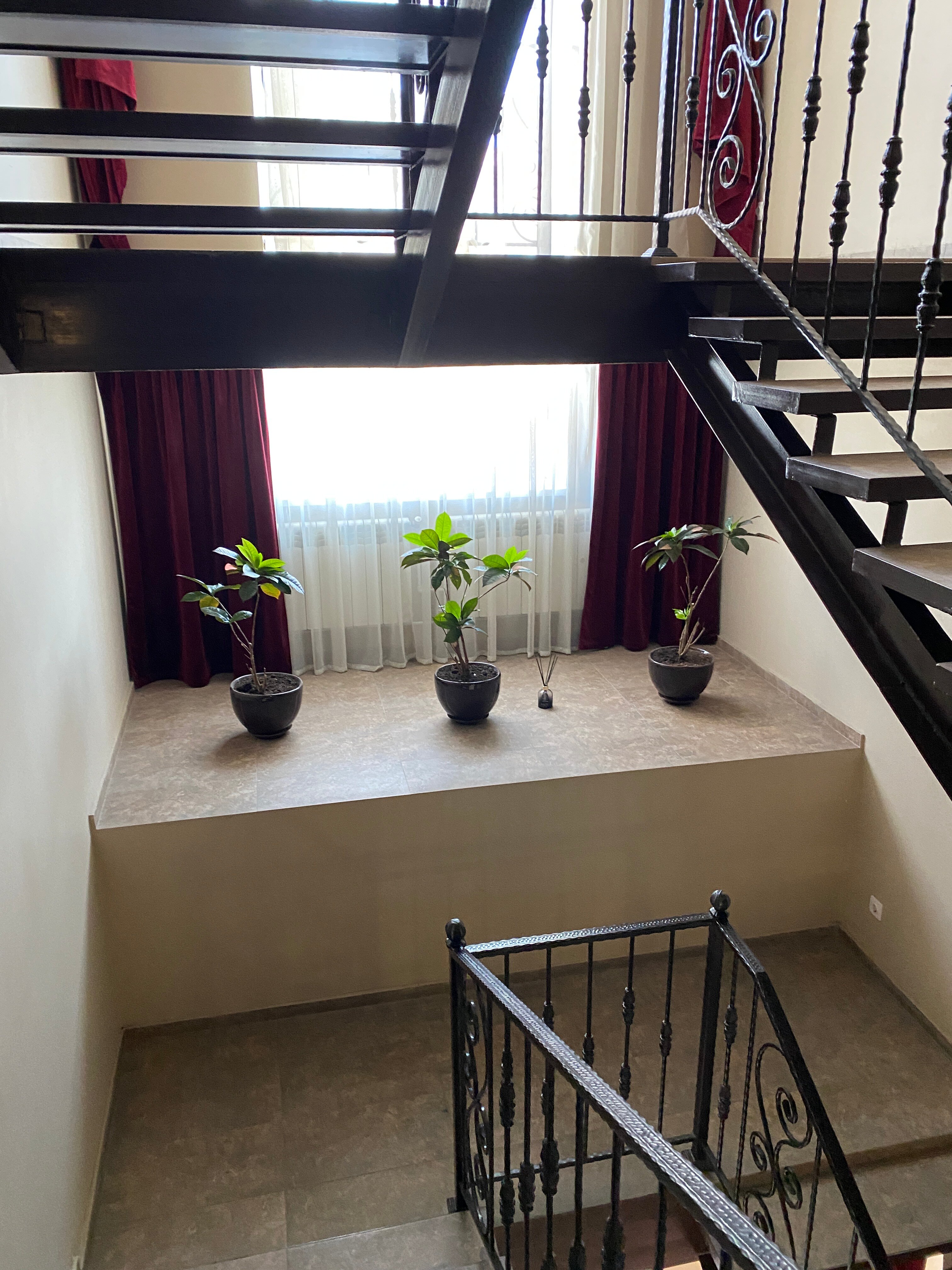 Фото Гранат