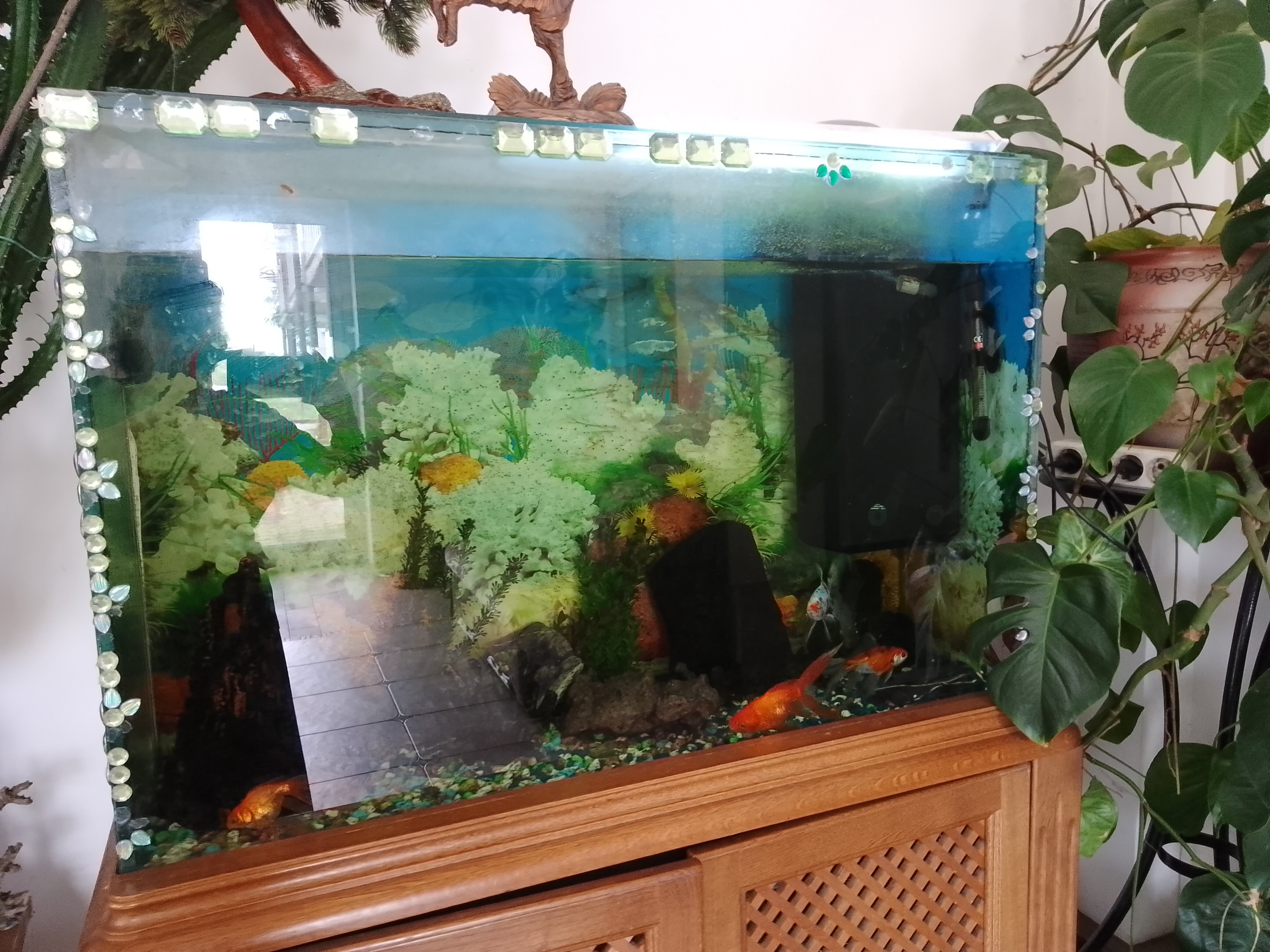 Фото Булут by Воля