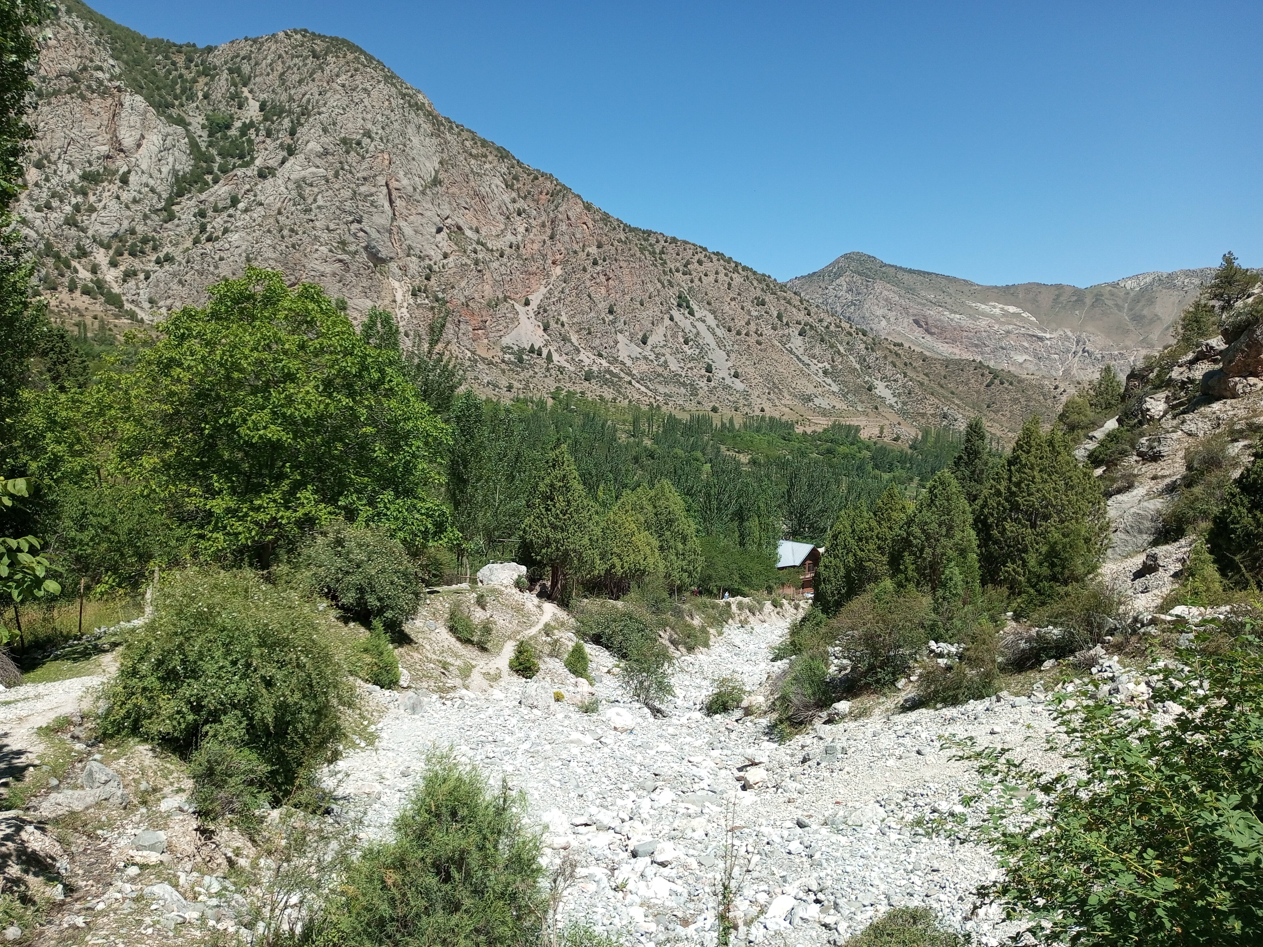 Texasdagi jinsiy dam olish