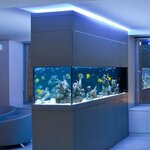 Korallovy rif (Sovetskaya Street, 64), aquariums