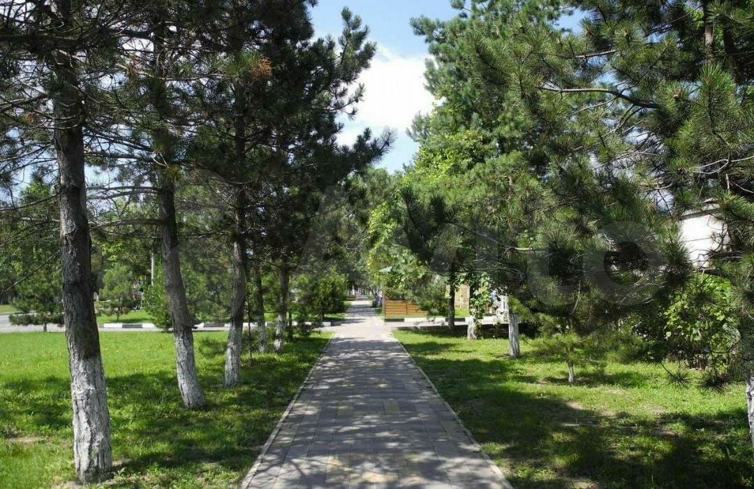 Фото Кавказ